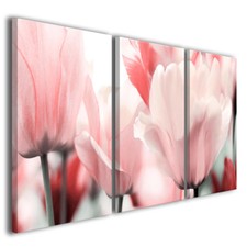 Pinkass Tulip Painting Flowers