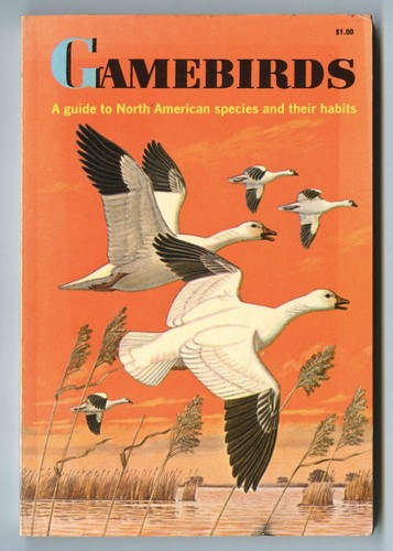 Gamebirds sprunt zim - sprunt,