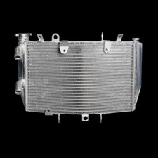 Radiatore in alluminio Rezo