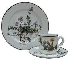 Villeroy & Boch Botanica -