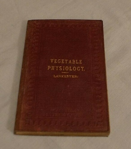 Lankester vegetable - e.,