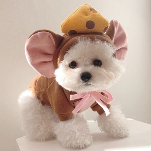 Costume cane topo - , vestiti