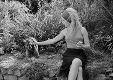 Photo brigitte bardot - photo, a4