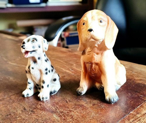 Cuccioli cane coppia piccoli - cane,