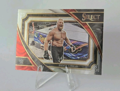Mezzanino brock lesnar - mezzanino, panini