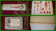 Vocabolario lingua italiana - vocabolario,