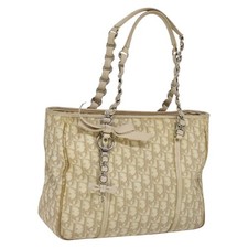 Christian Dior Trotter Canvas