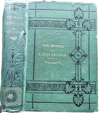 1872 The INSECT WORLD by Louis