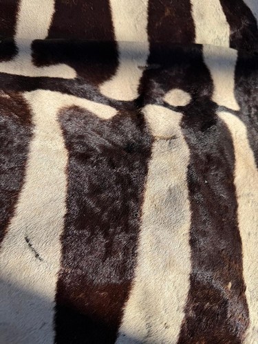 Grande tappeto vintage equus - grande,