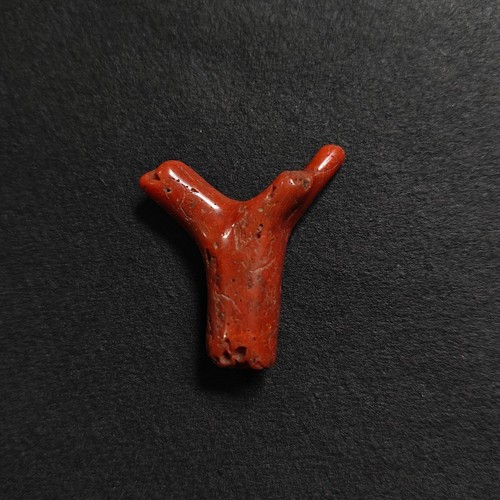 Ramo corallo rosso naturale - corallo,