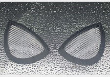 stupende lenti spiderman 1