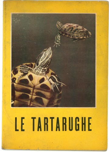 Tartarughe terrestri e - tartarughe,