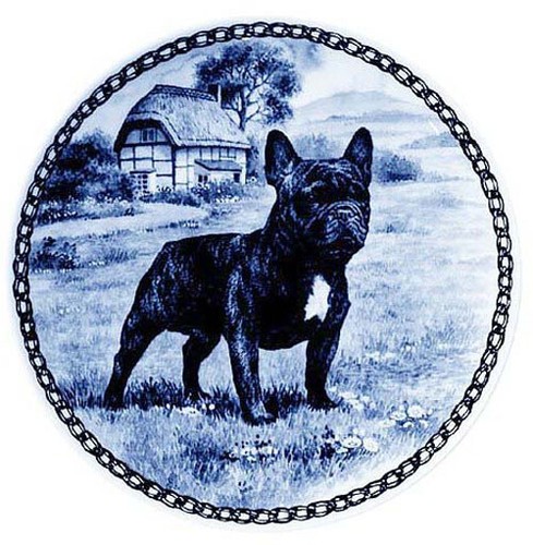 Französische bulldogge - französische,