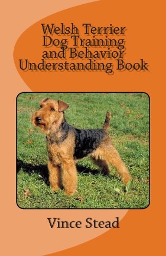 Welsh terrier dog - terrier, and