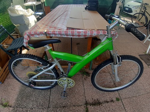 Bicicletta pinifarina epoca - d',