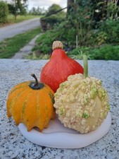 Zucche Ornamentali Tris