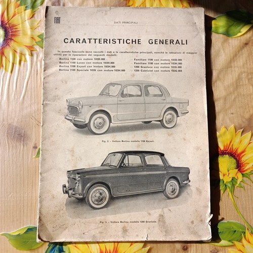 Caratteristiche generali - caratteristiche,