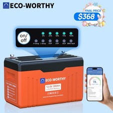 ECO-WORTHY 3840Wh 12V 300AH