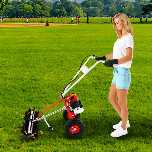 Motore benzina hp 2 - a, 1,7