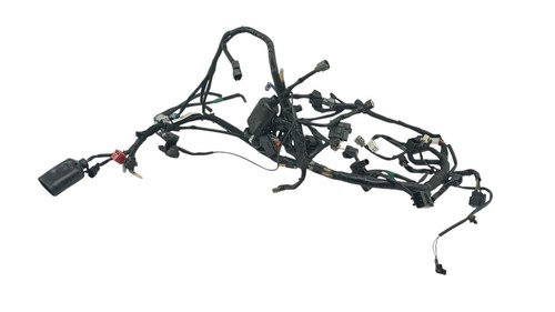 Fascio elettrico kawasaki - kawasaki, z