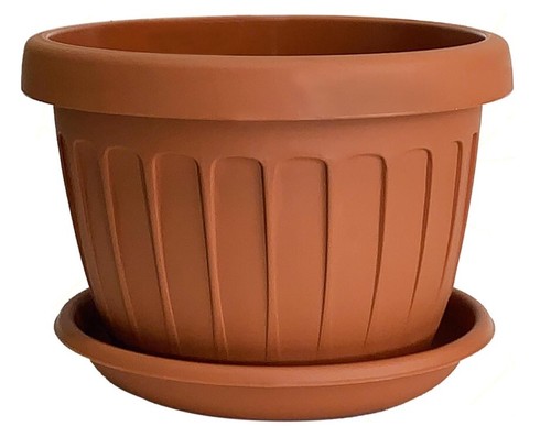 Bama vaso terra - terra, 50