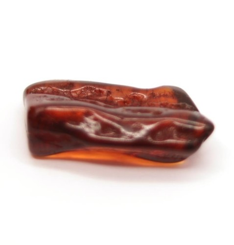 Pietra ambra baltica - , cognac