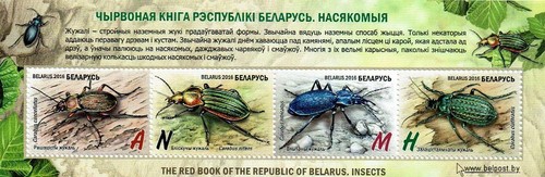 Francobollo della bielorussia - francobollo,