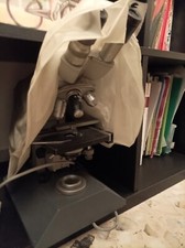 Microscopio Elettronico