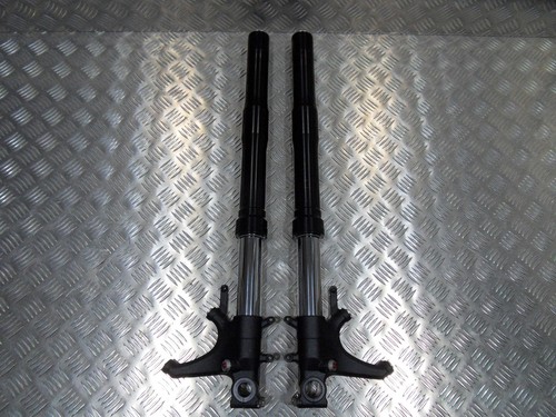 Coppia gambe forcella