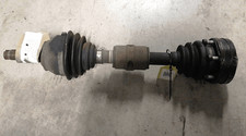 51771729 Semialbero ant