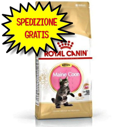 Royal canin gatto kitten maine - royal,