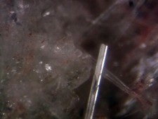 BUONA NATROLITE DALL'ITALIA MICROMOUNT