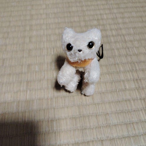 Sposarmi peluche gatto bianco - sposarmi?,