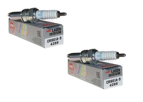 Coppia candele ngk - coppia,