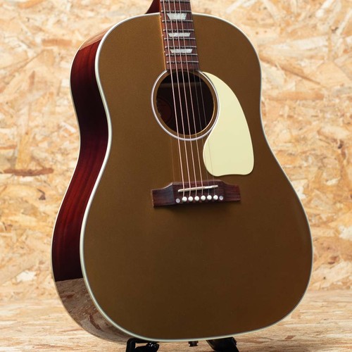 Chitarra elettrica acustica