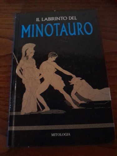 Libro labirinto del - libro,