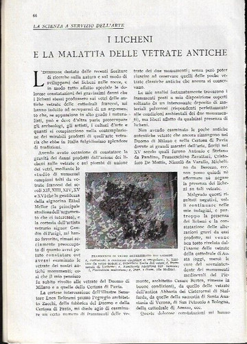Licheni malattia delle - e,