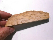 PIETRA DURA / MINERALE : TRONCO DI ALBERO DI BANANO PIETRIFICATO - 