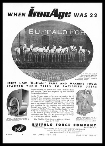 1955 buffalo new - new, york