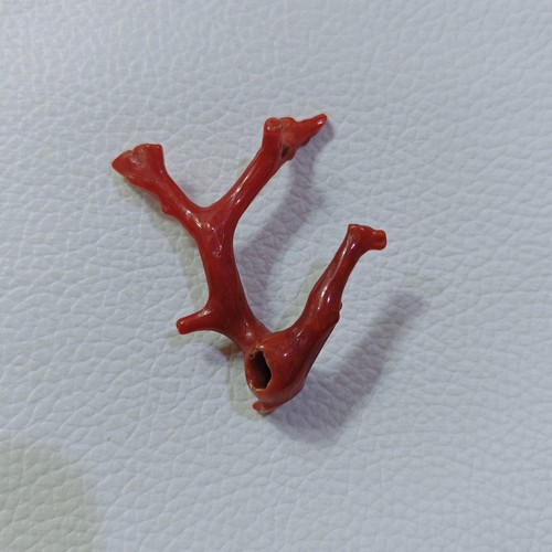 Pietra preziosa corallo rosso