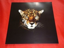 Brochure JAGUAR XJ6 Daimler