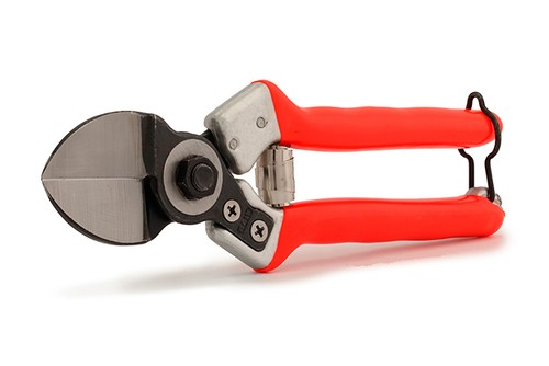 Forbici professionale - forbici,