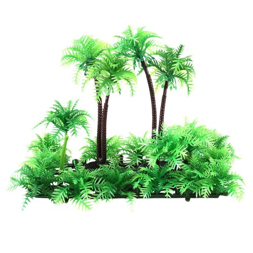 Pianta palma cocco - pianta,