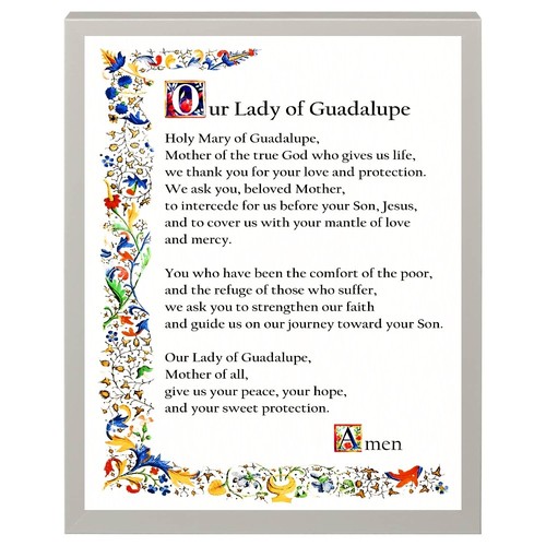Our lady guadalupe roman - lady,