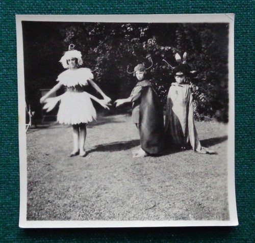 Antique photo imperial russian - antique,