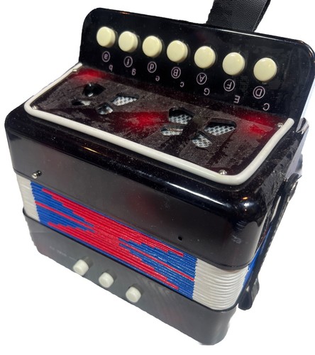 Fisarmonica nera vintage - fisarmonica,