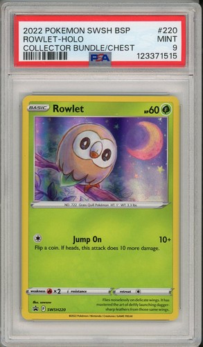 2022 pokemon swsh black - pokemon,
