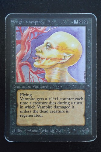 Magic the gathering mtg - the,