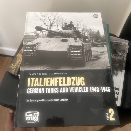 Italienfeldzug german tanks - german, &