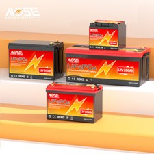 Batteria LiFePO4 12V/24V 50AH